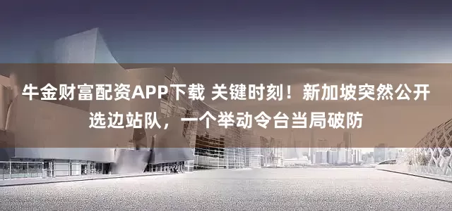 牛金财富配资APP下载 关键时刻！新加坡突然公开选边站队，一个举动令台当局破防